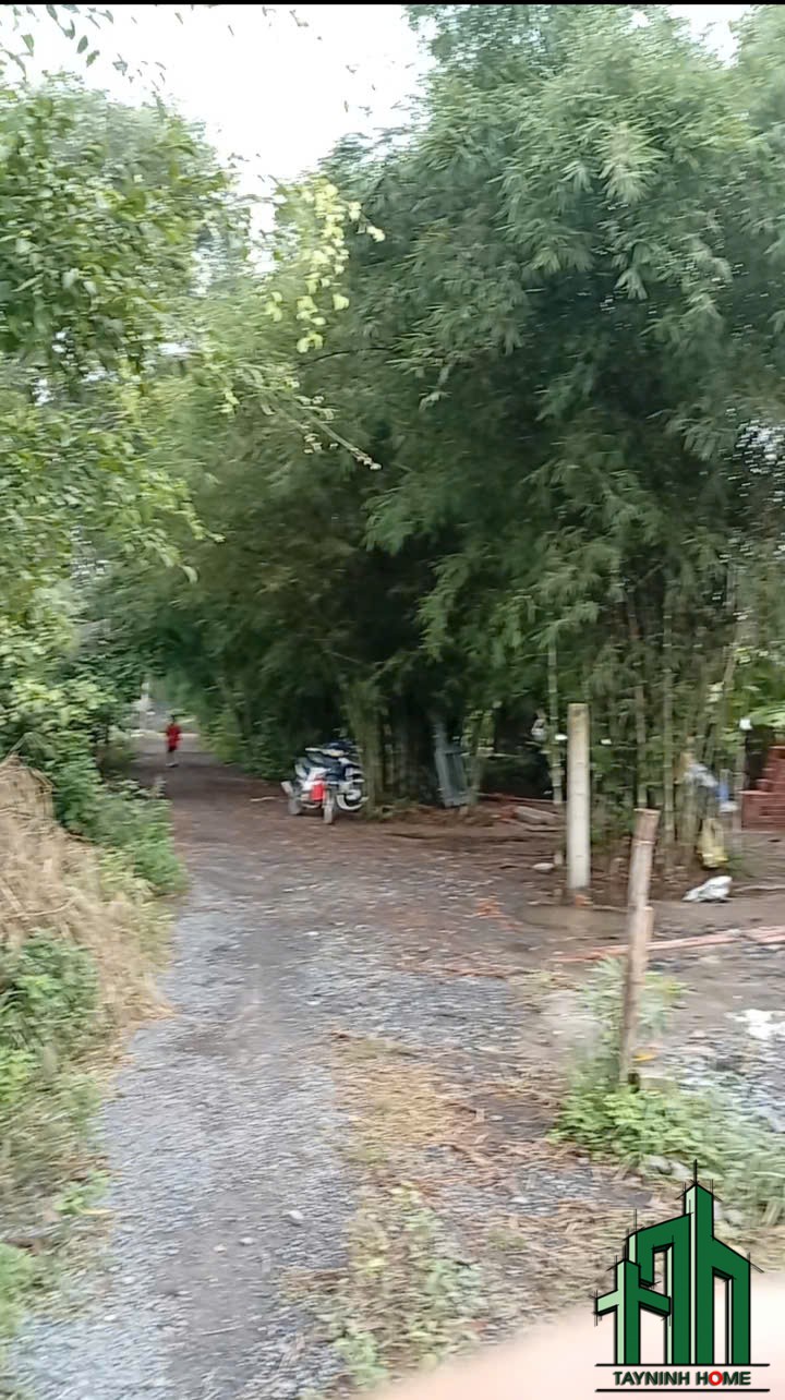 Chi Huyền 3
